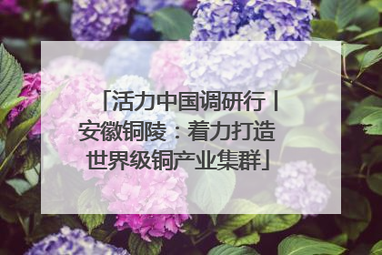 活力中国调研行丨安徽铜陵：着力打造世界级铜产业集群