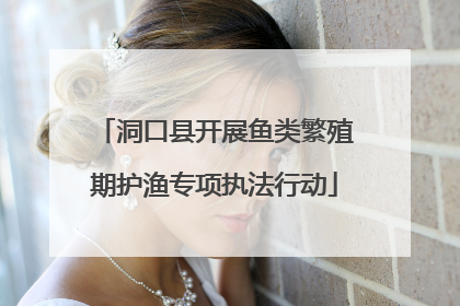 洞口县开展鱼类繁殖期护渔专项执法行动