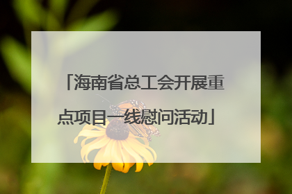 海南省总工会开展重点项目一线慰问活动