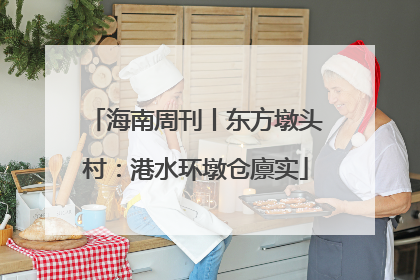 海南周刊丨东方墩头村：港水环墩仓廪实