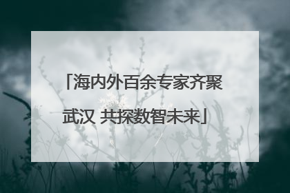 海内外百余专家齐聚武汉 共探数智未来
