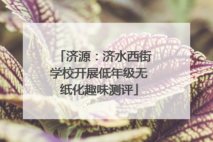 济源：济水西街学校开展低年级无纸化趣味测评
