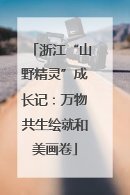 浙江“山野精灵”成长记：万物共生绘就和美画卷