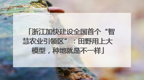 浙江加快建设全国首个“智慧农业引领区”：田野用上大模型，种地就是不一样