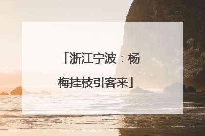 浙江宁波：杨梅挂枝引客来