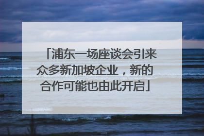 浦东一场座谈会引来众多新加坡企业，新的合作可能也由此开启
