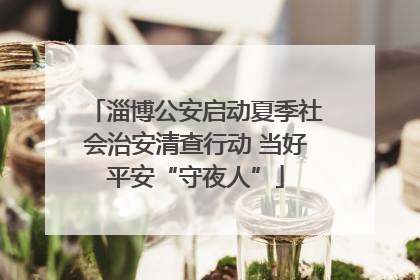 淄博公安启动夏季社会治安清查行动 当好平安“守夜人”