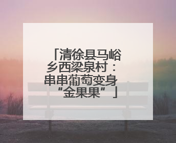 清徐县马峪乡西梁泉村：串串葡萄变身“金果果”