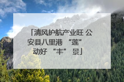 清风护航产业旺 公安县八里港 “莲” 动好 “丰” 景