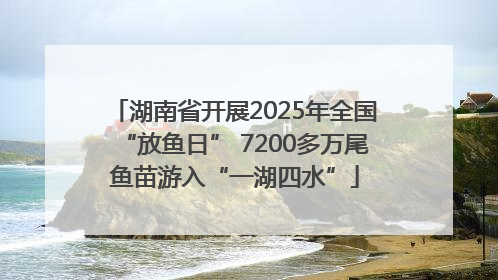 湖南省开展2025年全国“放鱼日” 7200多万尾鱼苗游入“一湖四水”