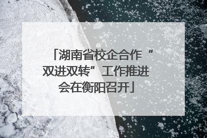 湖南省校企合作“双进双转”工作推进会在衡阳召开