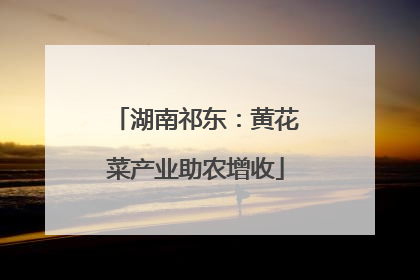湖南祁东：黄花菜产业助农增收