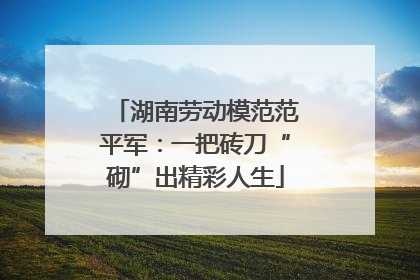 湖南劳动模范范平军：一把砖刀“砌”出精彩人生