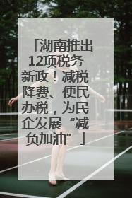 湖南推出12项税务新政！减税降费、便民办税，为民企发展“减负加油”