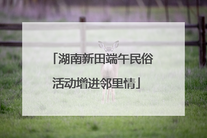 湖南新田端午民俗活动增进邻里情