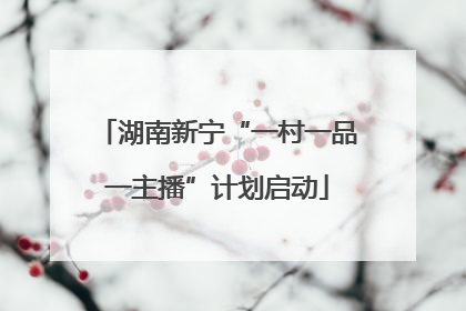 湖南新宁“一村一品一主播”计划启动