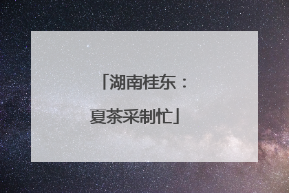 湖南桂东：夏茶采制忙
