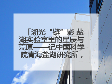 湖光“链”影 盐湖实验室里的星辰与荒原——记中国科学院青海盐湖研究所，盐湖资源化学实验室党总支书记、副主任刘忠