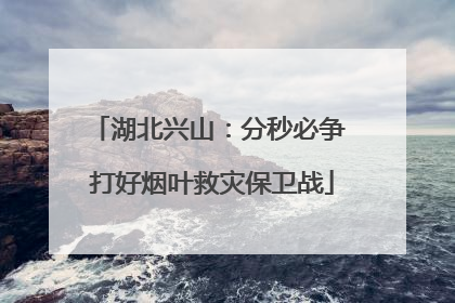 湖北兴山：分秒必争 打好烟叶救灾保卫战