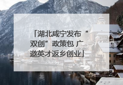 湖北咸宁发布“双创”政策包 广邀英才返乡创业