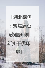 湖北嘉鱼：聚焦痛点破难题 创新实干优环境