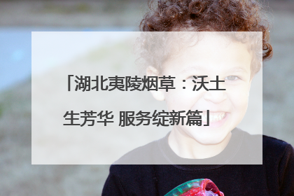 湖北夷陵烟草：沃土生芳华 服务绽新篇