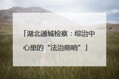 湖北通城检察：综治中心里的“法治前哨”