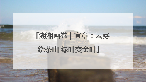 湖湘画卷｜宜章：云雾绕茶山 绿叶变金叶