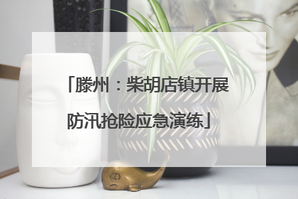 滕州：柴胡店镇开展防汛抢险应急演练