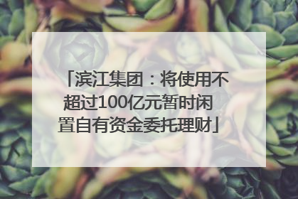 滨江集团：将使用不超过100亿元暂时闲置自有资金委托理财