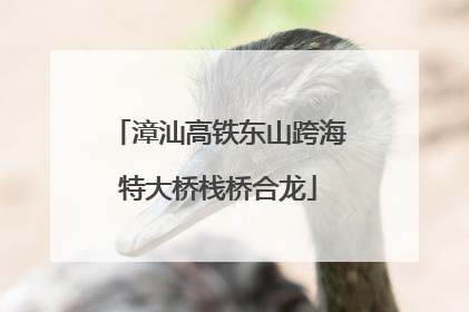 漳汕高铁东山跨海特大桥栈桥合龙