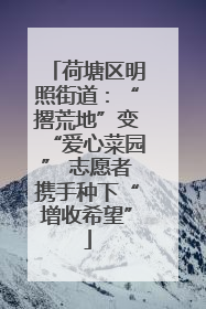 荷塘区明照街道：“撂荒地”变“爱心菜园” 志愿者携手种下“增收希望”