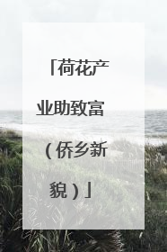 荷花产业助致富（侨乡新貌）