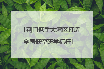 荆门携手大湾区打造全国低空研学标杆