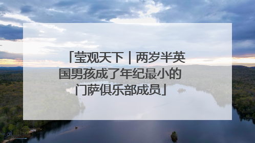 莹观天下｜两岁半英国男孩成了年纪最小的门萨俱乐部成员