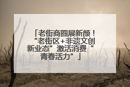 老街商圈展新颜！“老街区+非遗文创新业态”激活消费“青春活力”