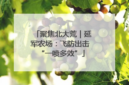 聚焦北大荒｜延军农场：飞防出击 “一喷多效”