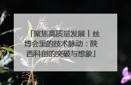聚焦高质量发展丨丝博会里的技术脉动：陕西科创的突破与想象