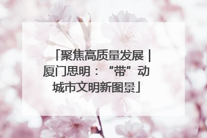 聚焦高质量发展｜厦门思明：“带”动城市文明新图景