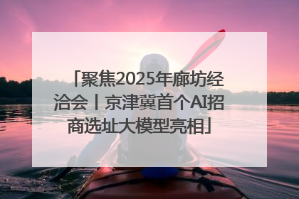 聚焦2025年廊坊经洽会丨京津冀首个AI招商选址大模型亮相