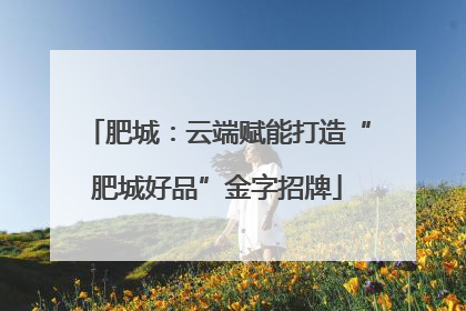 肥城：云端赋能打造“肥城好品”金字招牌