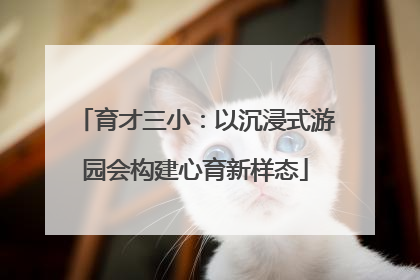育才三小：以沉浸式游园会构建心育新样态