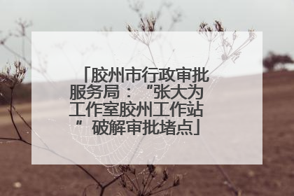 胶州市行政审批服务局：“张大为工作室胶州工作站”破解审批堵点