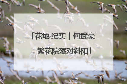 花地·纪实｜何武豪：繁花院落对斜阳