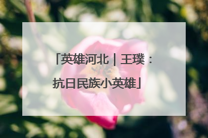 英雄河北｜王璞：抗日民族小英雄