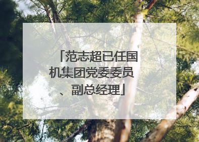 范志超已任国机集团党委委员、副总经理