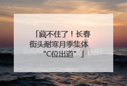 藏不住了！长春街头耐寒月季集体“C位出道”