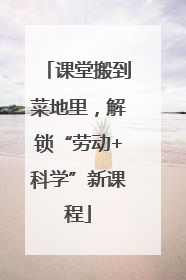 课堂搬到菜地里，解锁“劳动+科学”新课程