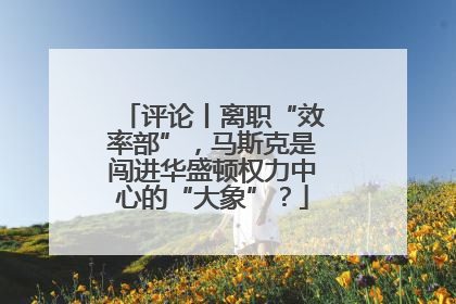 评论丨离职“效率部”，马斯克是闯进华盛顿权力中心的“大象”？
