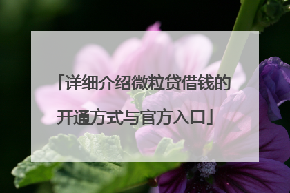 详细介绍微粒贷借钱的开通方式与官方入口